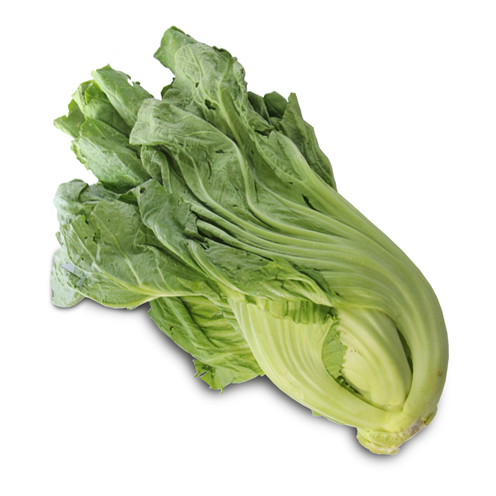 รายการ 104+ ภาพพื้นหลัง ผักกาดเขียวเล็ก ใหม่ที่สุด